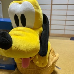 ‼️近日処分‼️グーフィ　の画像