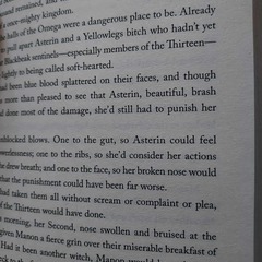 Heir of Fire - Sarah J. Maas (英語版)の画像