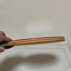 【ニッタク】劉国正 卓球ラケットの画像