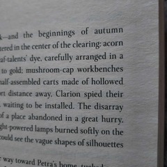 Wings of Starlight - Allison Saft (英語版)の画像