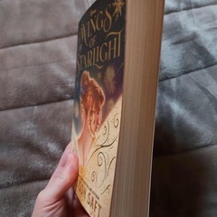 Wings of Starlight - Allison Saft (英語版)の画像