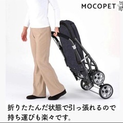 ボンビアルコン (Bonbi) ペットバギー DECAプログレ デニムの画像