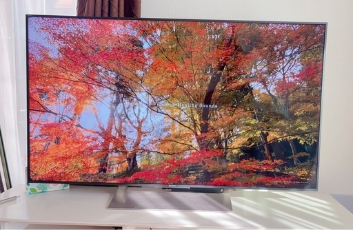 液晶テレビ SONY BRAVIA KJ55X9000E