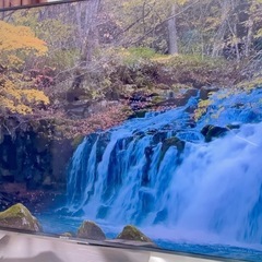 SONY BRAVIA KJ55X9000Eの画像