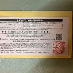 スタジオアリス株主写真撮影券の画像