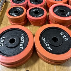 アイロテック iROTEC ダンベルプレート　シャフト  の画像