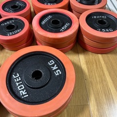 アイロテック iROTEC ダンベルプレート　シャフト  の画像