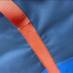 コストコバックの画像