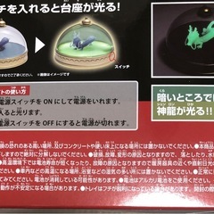 神龍の模型　ルームライの画像