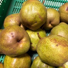 ラ・フランス 訳あり品 5kgの画像