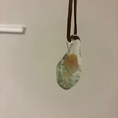 マッシュルーム/アクセサリーの画像