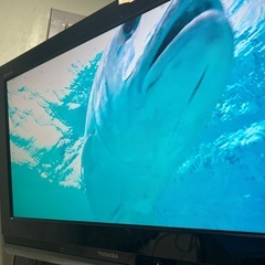 セット12月まで　電子レンジと東芝26インチ　レグザテレビの画像