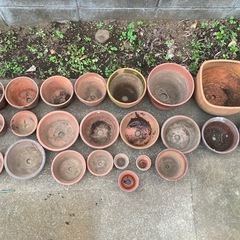 植木鉢（陶器）の画像