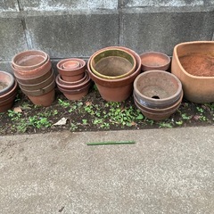 植木鉢（陶器）の画像