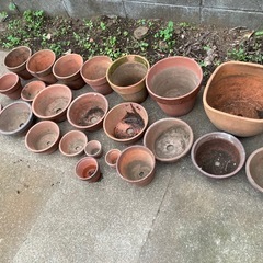 植木鉢（陶器）の画像