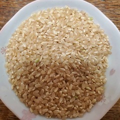 【生活応援❗️】新米・当日精米　10kg〜の画像