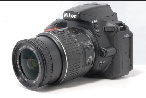 Wi-Fi搭載　Nikon ニコン D5600　人気のレンズセット