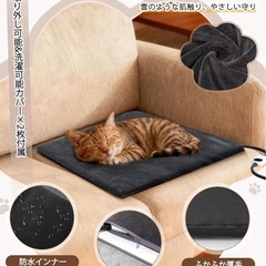 ペット用❣️ホットカーペット 45×45cm 防炎コード 洗えるカバー2枚付きの画像