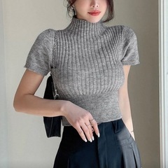 グレー 半袖 ニットの画像