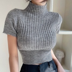 グレー 半袖 ニットの画像