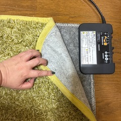 3畳の電気カーペットの画像