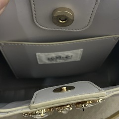 ジルバイジルスチュアートのエンボスビジューバッグです☺️の画像