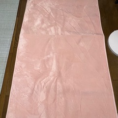 1畳ホットカーペットの画像