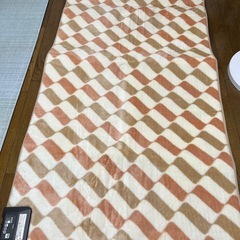 1畳ホットカーペットの画像