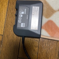 1畳ホットカーペットの画像