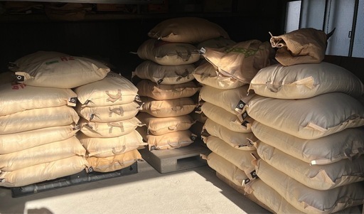 令和7年度産新米コシヒカリ.ヒノヒカリ