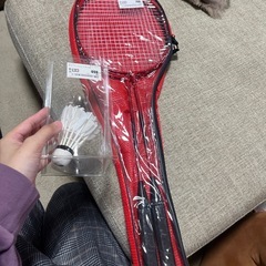 バトミントンラケット2本とシャトル１個の画像