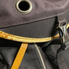 Bianchi passione-celeste リュックの画像