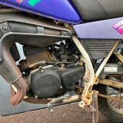 YAMAHA DT50の画像