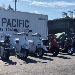 セピアzz        50cc 実働の画像