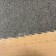 NITORI ラグ カーペット マット (約178×263cm)  滑り止めマット付の画像