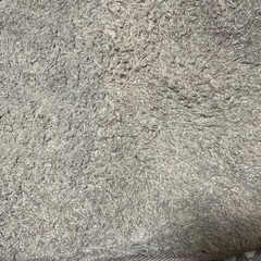 こたつ＋こたつ布団＋敷物の画像