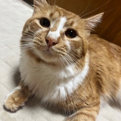 2歳の男の子😺