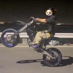 Kawasaki Dトラッカー250レーサータイプ（ウィリー向け）の画像