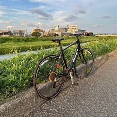 【良品】GIANT Escape RX2 クロスバイク アルミフレームの画像