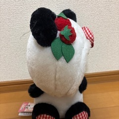 キティちゃんの画像