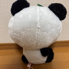 キティちゃんの画像