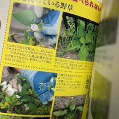 本　野草で楽しむ散歩術の画像