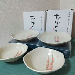 未使用　片岡鶴太郎　オリジナル　美濃焼　たけのこ　小皿　小鉢2個４枚セットの画像