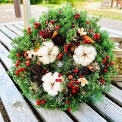 ヒムロスギ　クリスマス　お正月　節分　しめ縄の画像