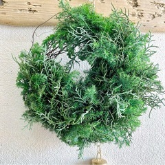 ヒムロスギ　クリスマス　お正月　節分　しめ縄の画像