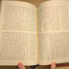 『罪と罰』ドストエフスキイ　講談社の画像