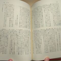 『女の一生　水の上　テレーズ・ラカン』モーパッサン・ゾラ　講談社の画像