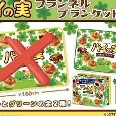 パイの実 お菓子　チョコ　フランネルブランケット グリーンの画像
