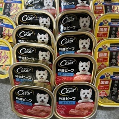 犬用ウエットフードの画像