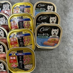 犬用ウエットフードの画像